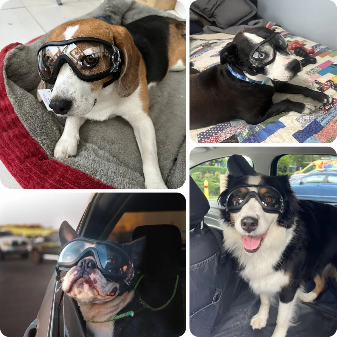 NAMSAN Occhiali da Sole per Cani con Cinturino Regolabile Protezione Occhi Taglia Medio-Grande