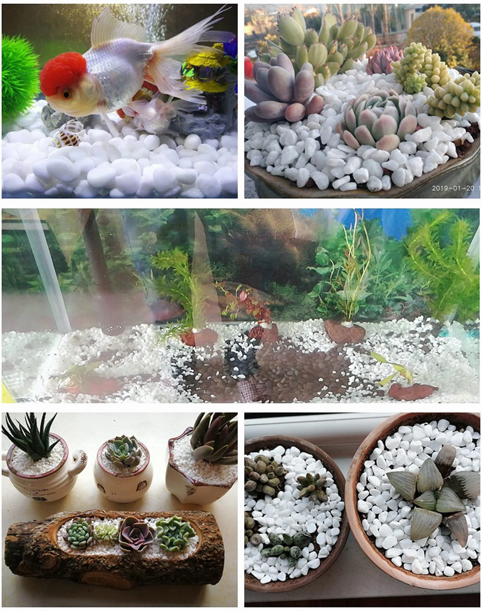 Ghiaia Bianca Naturale per Acquario Giardino Decorazione 900g