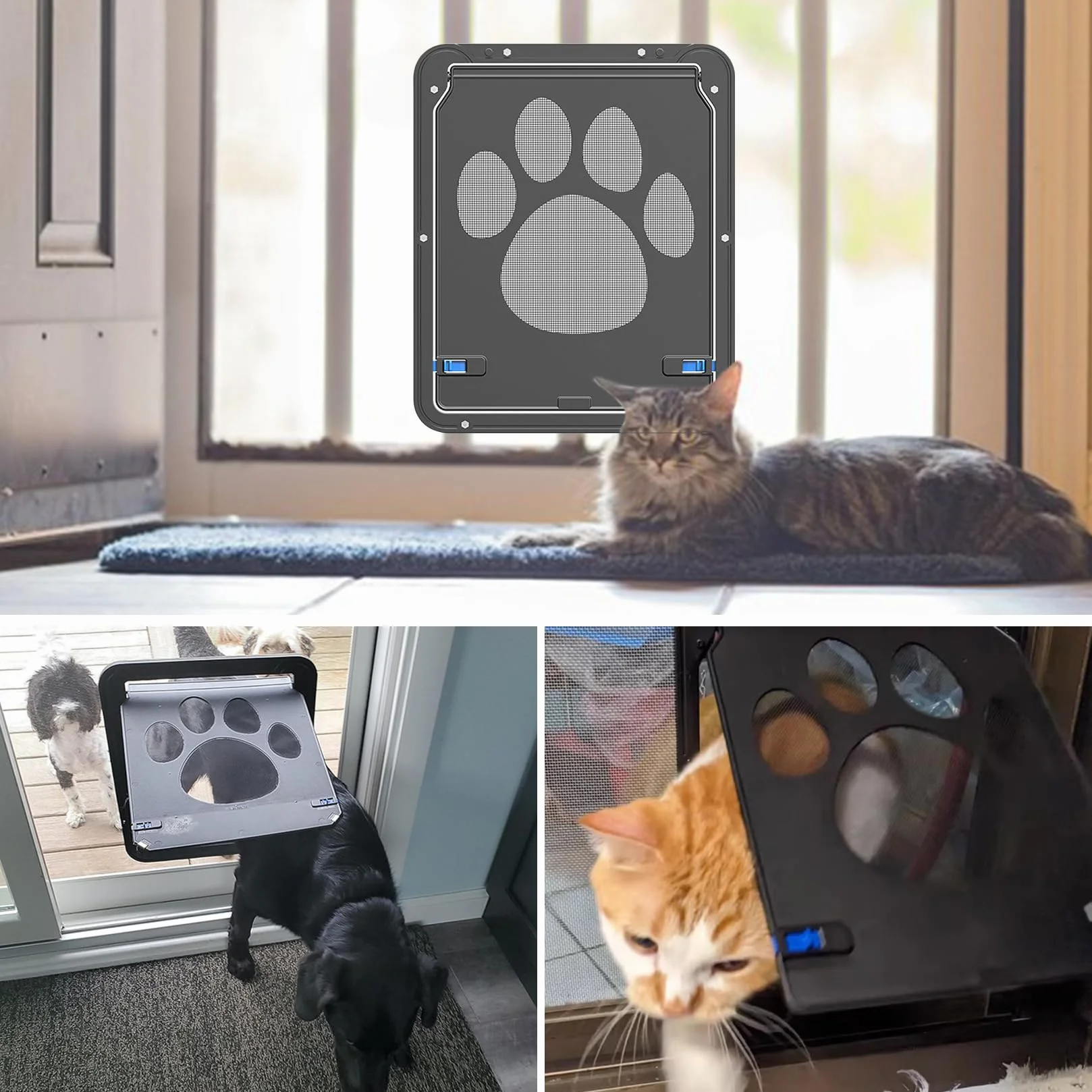 Zanzariera Gatti 29x24 cm Gattaiola con Chiusura a Chiave Magnetica per Animali Domestici