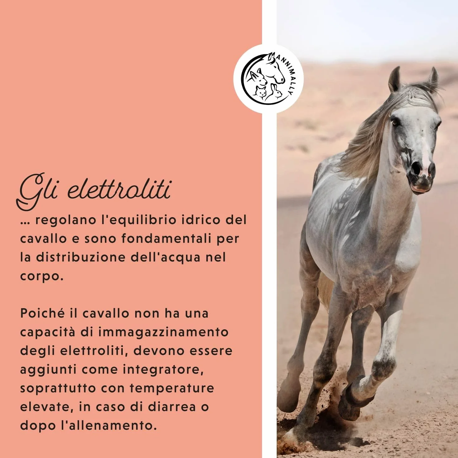 Elettroliti Liquidi per Cavalli 1000ml con Sodio, Potassio, Calcio, Magnesio e Vitamina B - Integratore Senza Zuccheri