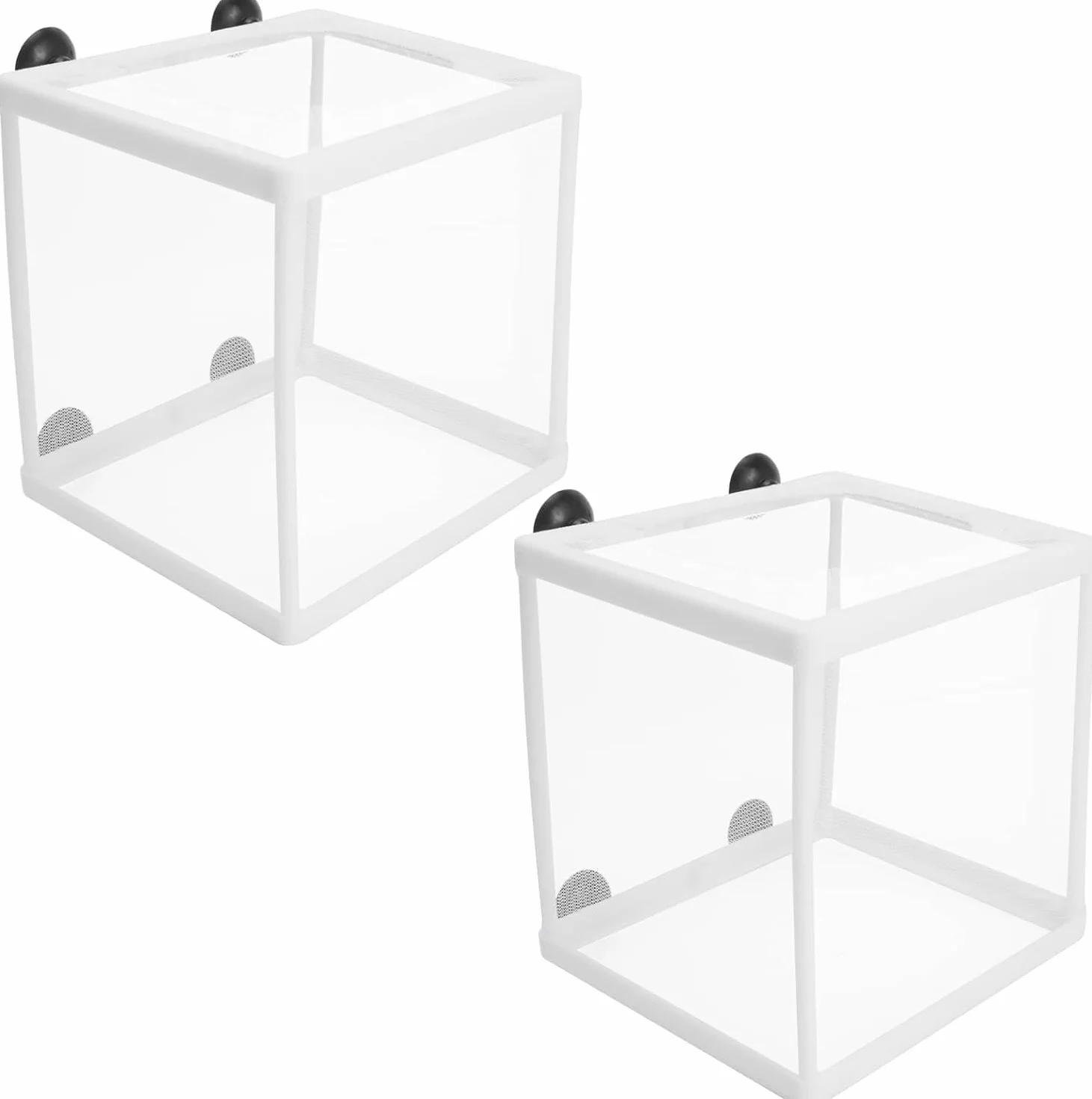 2 scatole per l'allevamento di pesci per acquario, scatola di isolamento per acquario, frittura, vivaio, con 8 ventose per proteggere i pesci del bambino per acquario, bianco, 16 x 14 x 16 cm