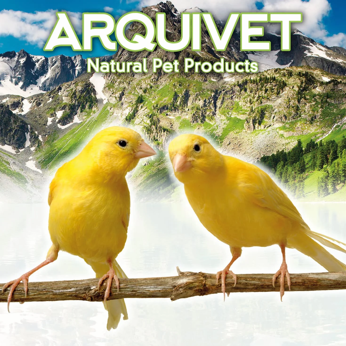 Arquivet Abbeveratoio in plastica per uccelli 13 cm 85 cc