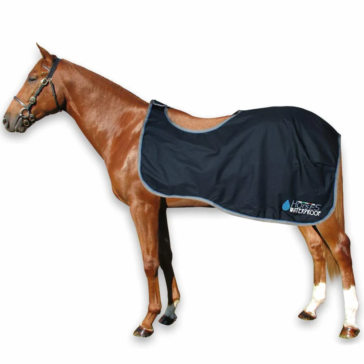 Horses, Coprireni Impermeabile Waterproof Exercise, Morbido, Comodo, Resistente, Taglia da S-128 cm a XL-155 cm, Disponibile in Blu