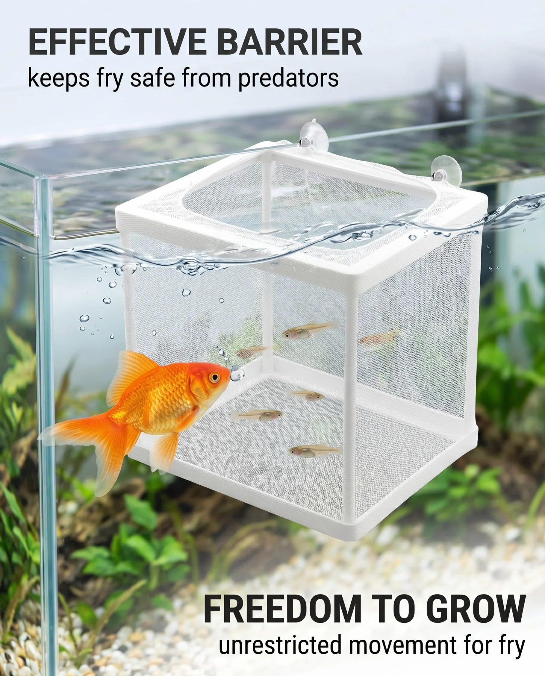 Scatola Di Allevamento Di Pesci, Incubatore Di Pesce Scatola, Isolamento Allevatore, Acquario Serbatoio Da Incubazione, Maglia Per Acquario Con Ventosa, Vivaio Di Pesci Acquario Rete