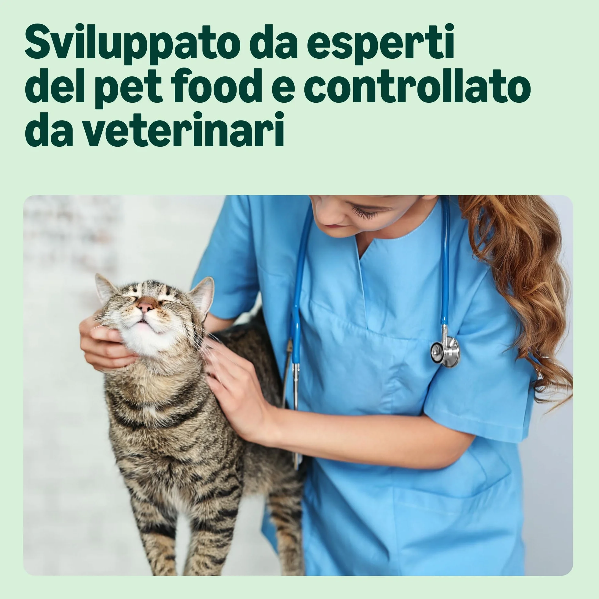 Alimento secco completo per gatti adulti con pollo, tacchino e verdure, 3 kg