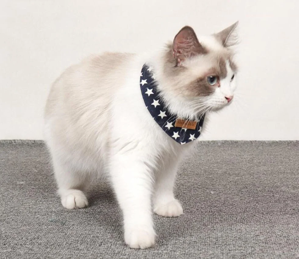Bandana per Gatto con Motivo Stelle Sciarpa Triangolare Cucciolo Collare Regolabile Bavaglino