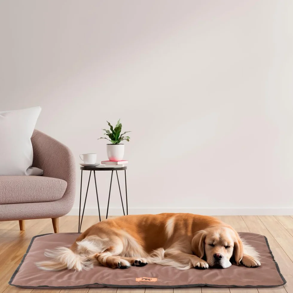 Ferplast Cuccia Cane e Gatto Antigraffio Impermeabile JOLLY Taglia Media 98x65x3,5 cm Marrone