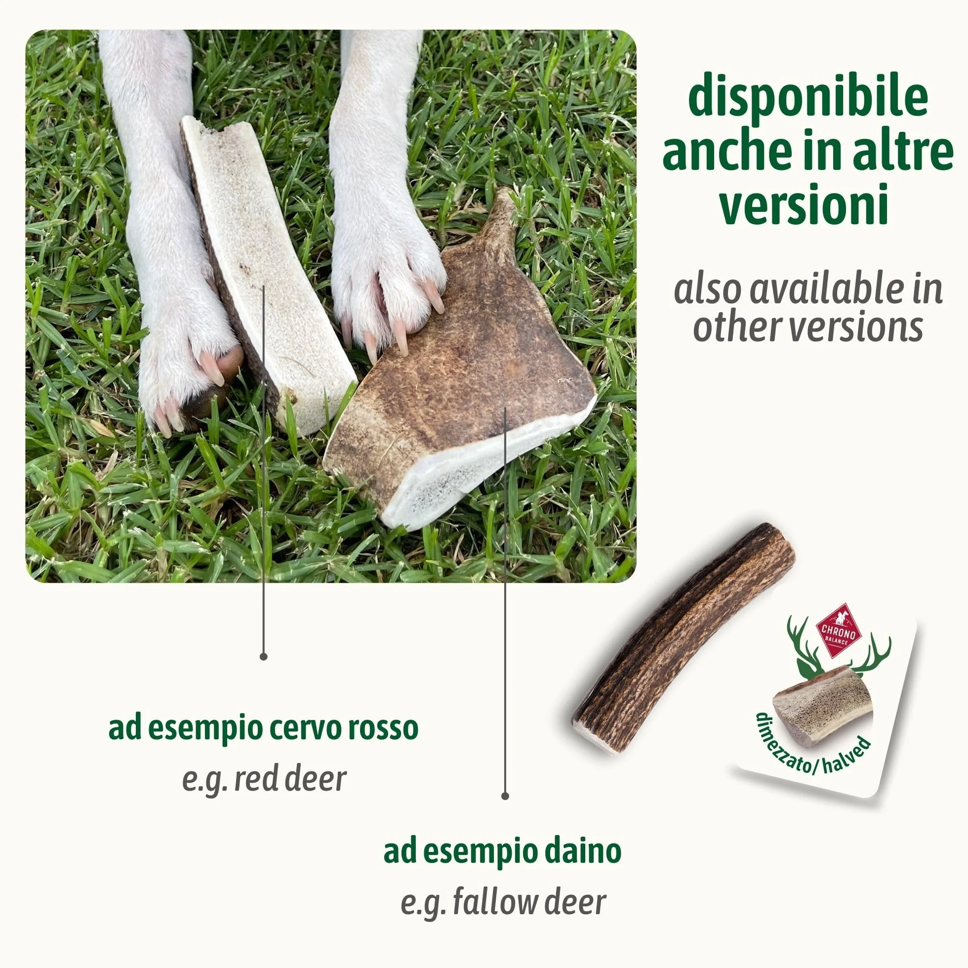 ChronoBalance-XXL Corno di Cervo per Cani, Confezione da 2, Dimezzato, 100% Naturale, Osso di Cervo, Cura Dentale, Giocattolo per Cani, Senza Sostanze Chimiche, Lunga Durata