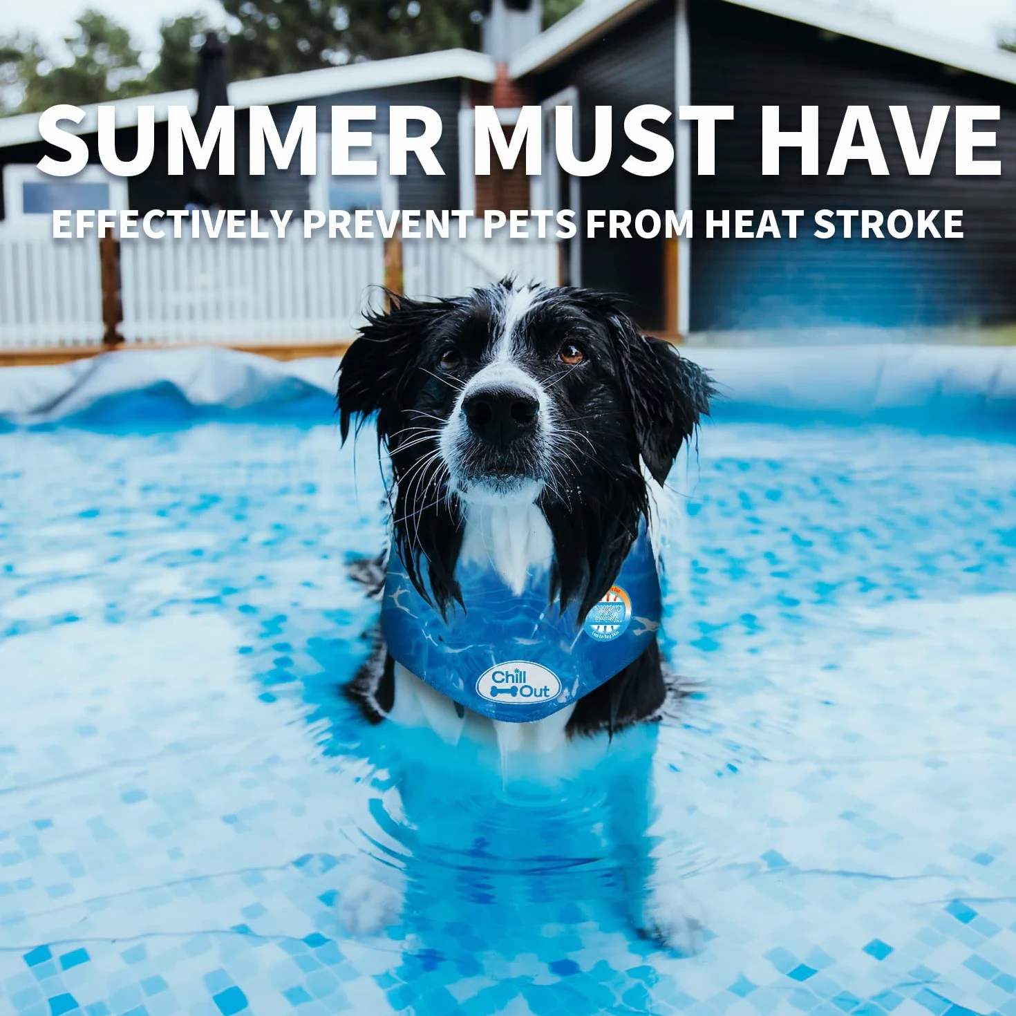 All for Paws bandana "Chill Out" dla psa