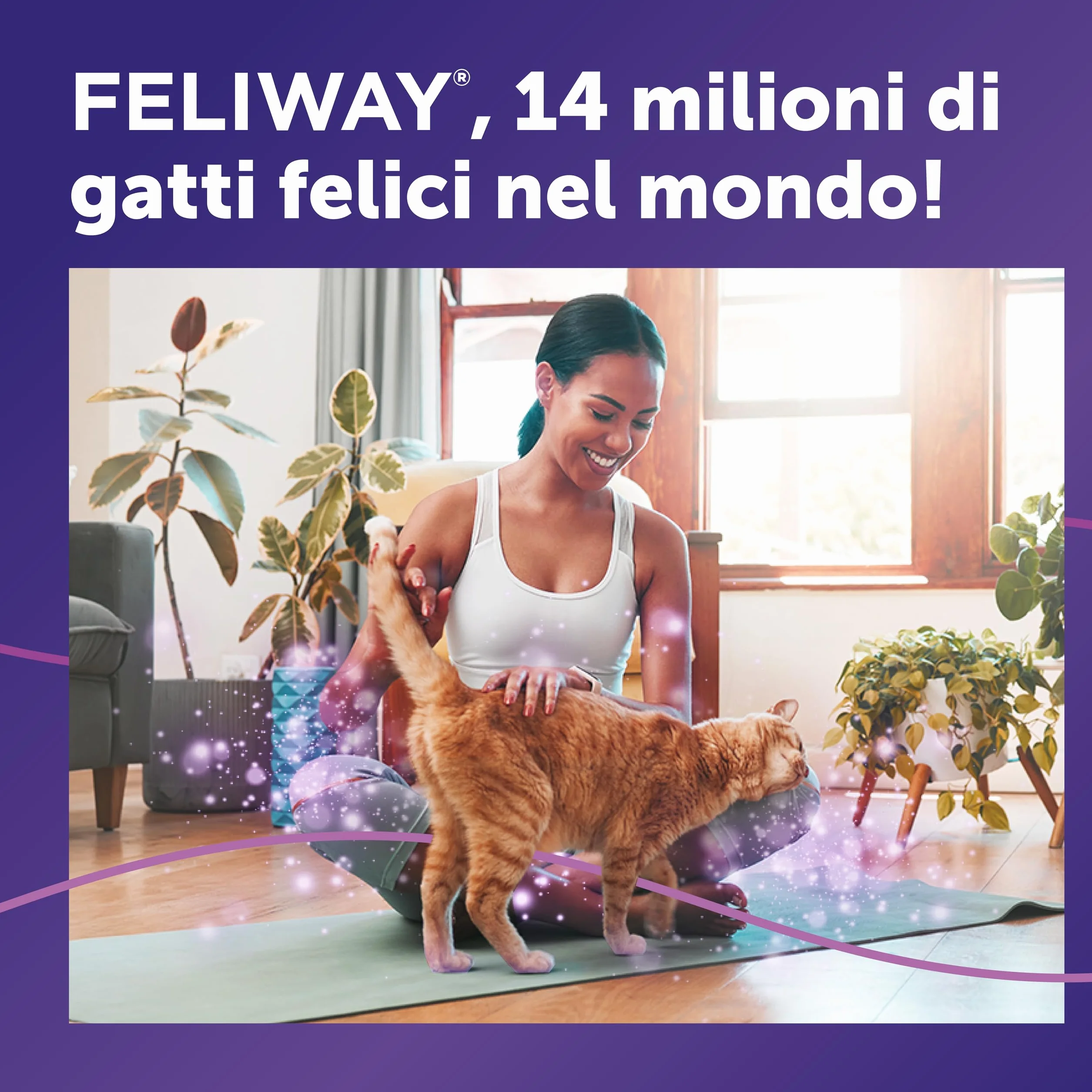 FELIWAY Classic Starter Kit Diffusore di Feromoni Calmanti per Gatti, 48 ml – Aiuta a risolvere i segni comuni di stress nei gatti e gattini, Raccomandato dai Veterinari, Clinicamente Testato