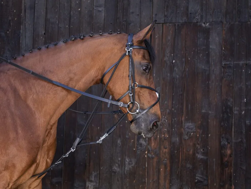 RIDING WORLD Gogue pulegge