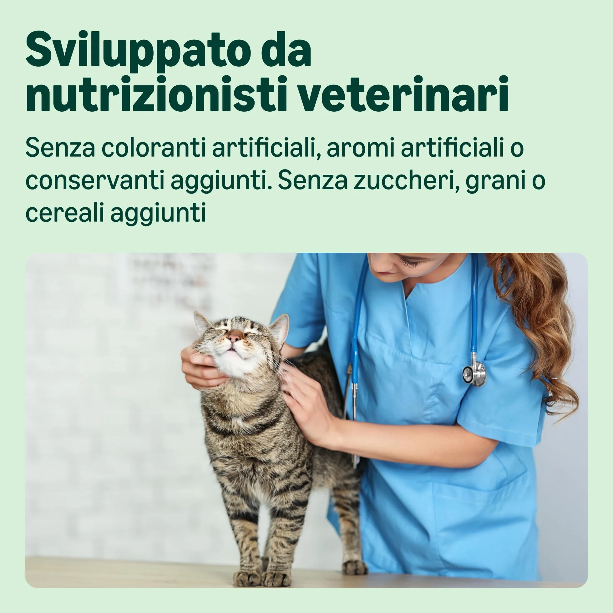 Cibo Umido per Gatti Paté Assortiti 100g Confezione da 32