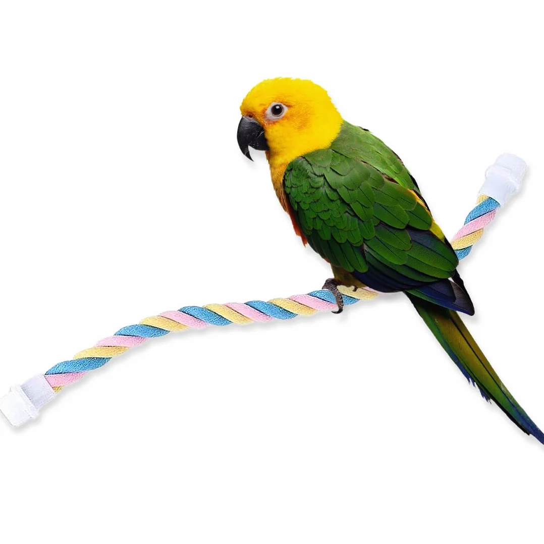 WeddHuis Altalena per Uccelli, Giocattoli da Appendere in Gabbia Altalena Resistenza al Morso con Corda di Cotone Giocattolo Posatoi Giocattolo Pappagallo Rompi Noia per Calopsitte,Pappagallini