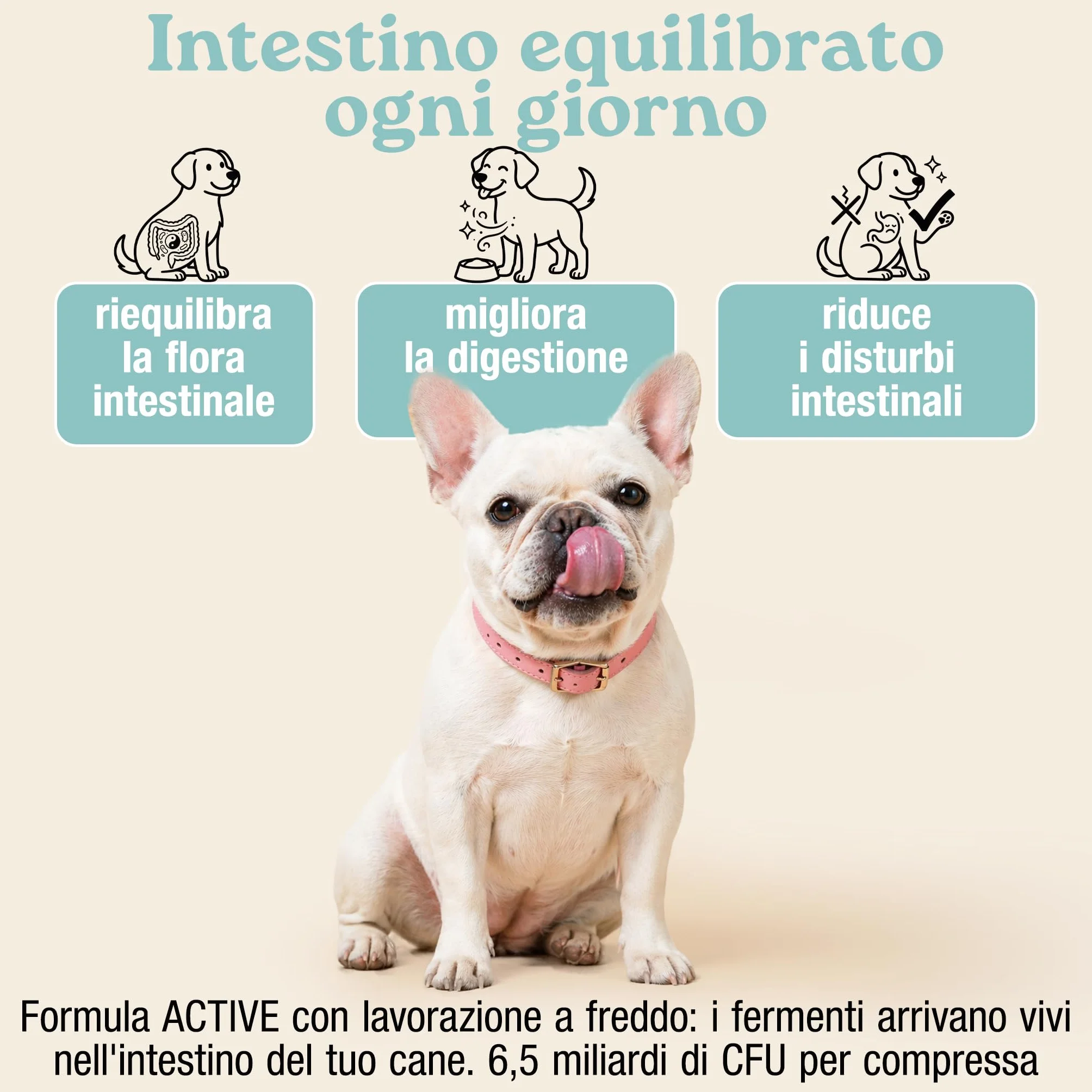 MyPetPrime Fermenti Lattici Cane ACTIVE 30 Cpr Probiotici Digestivi da 6,5 Miliardi con Inulina - Equilibrio Intestinale e Digestione, Ripristino della Flora Batterica, Riduzione di Prurito Cutaneo