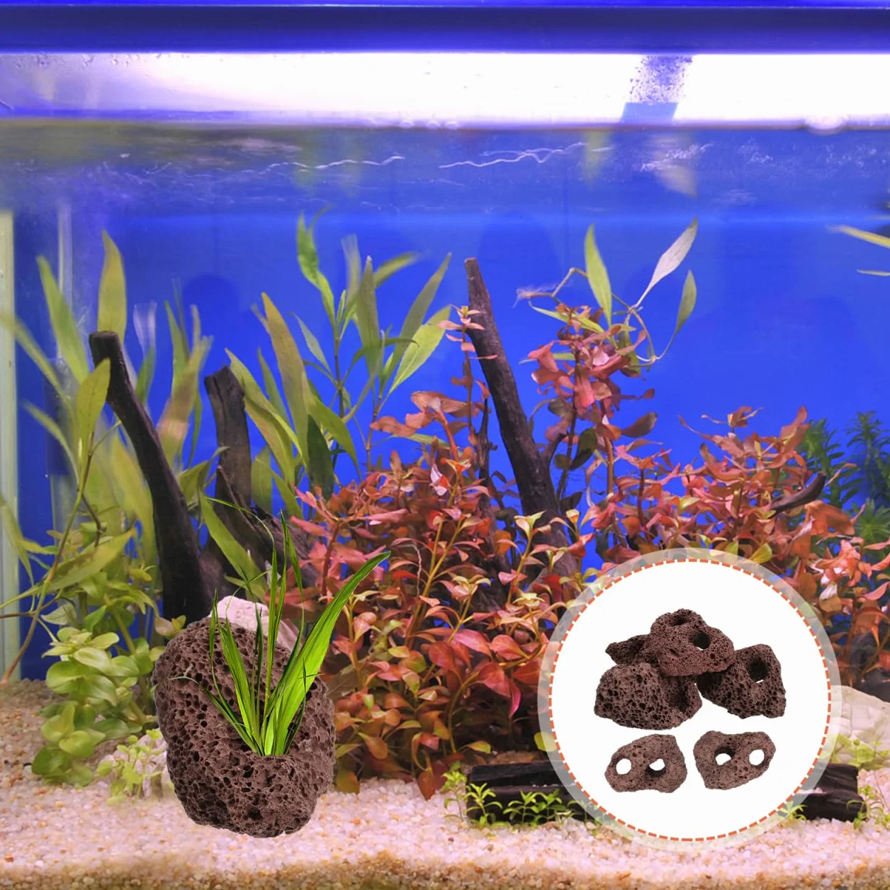 Happyyami Rocce Vulcaniche Naturali per Acquario 6 Pezzi Supporto Fisso per Piante Acquatiche Decorazioni di Pietra Lavica per Serbatoio Pesci E Gamberetti Ornamenti Acquario
