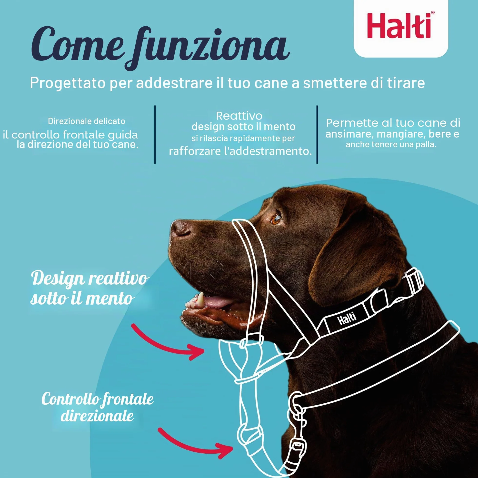 HALTI - Collare a cavezza Per impedire che il cane tiri il guinzaglio, regolabile, leggero, con fascia per il muso imbottita, collareanti-trazione per l’addestramento di cani medi (Taglia 3, Nero)