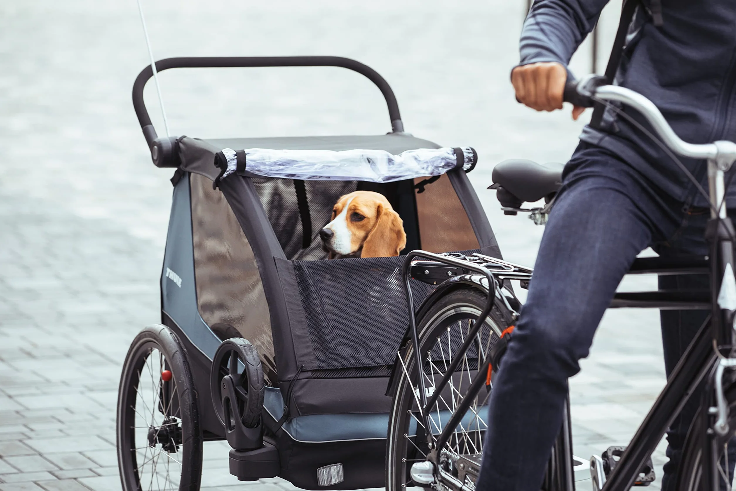 Thule Courier Dog Trailer Kit Rimorchio Cane Black, One-Size