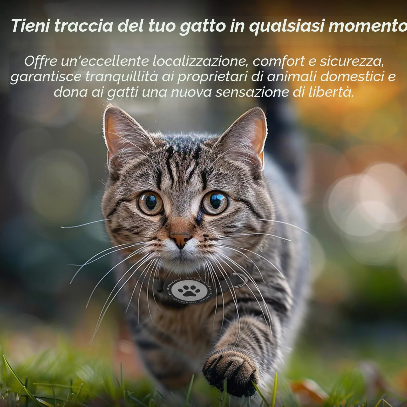 Collare Airtag Gatto, Cllare Elastico per Gattini con Supporto per Apple Airtag, Leggero e Confortevole, Collare Gatto Airtag con GPS ultra elasticizzato per Gatti, Gattini e Cuccioli (nero)