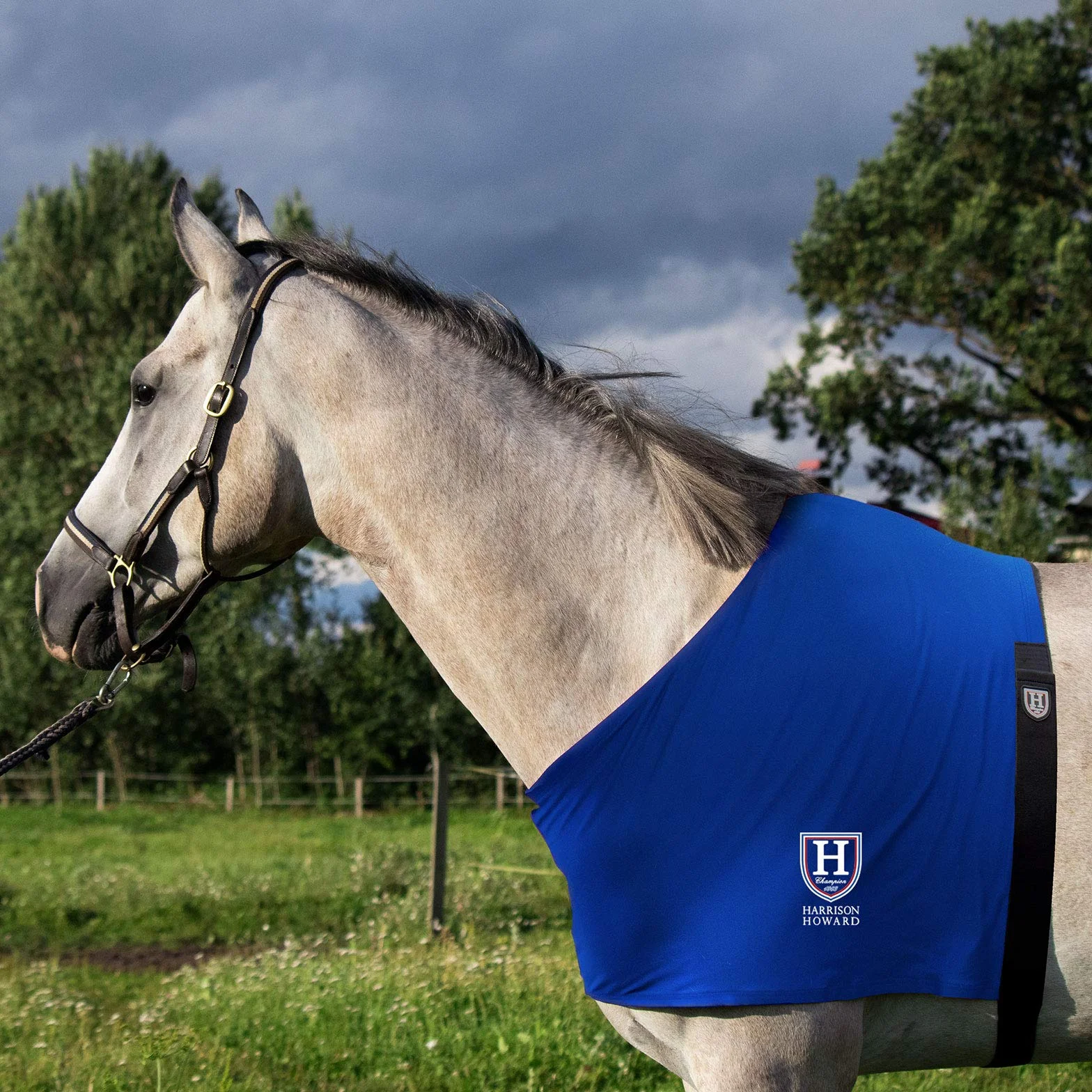 Harrison Howard Stretch Vest Anti Rub Bib Withers Shoulder Guard Horse Chest Saver Protector Midnight Blue