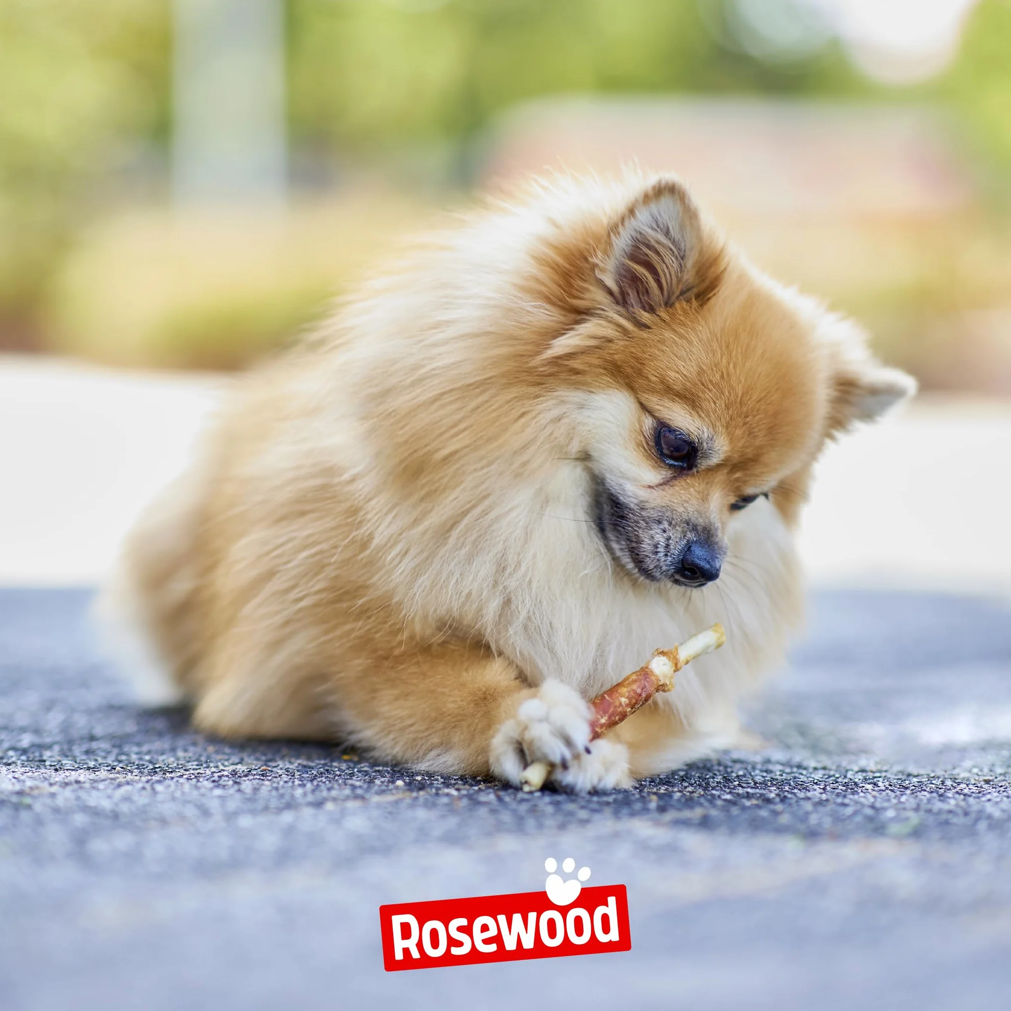 Rosewood Chewy Sticks Manzo Small - Bastoncini da masticare per cani con carne di manzo, supporta la cura dei denti, senza cereali, glutine e additivi artificiali, confezione da 6 (6x72 g)