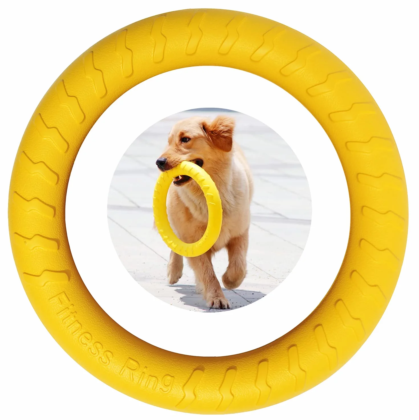 Anello per il fitness del cane, anello per morso di cane, attrezzatura per esercitare l'agilità del cane, interattivo per l'addestramento del tiro alla fune per cani di taglia Piccola e Grande