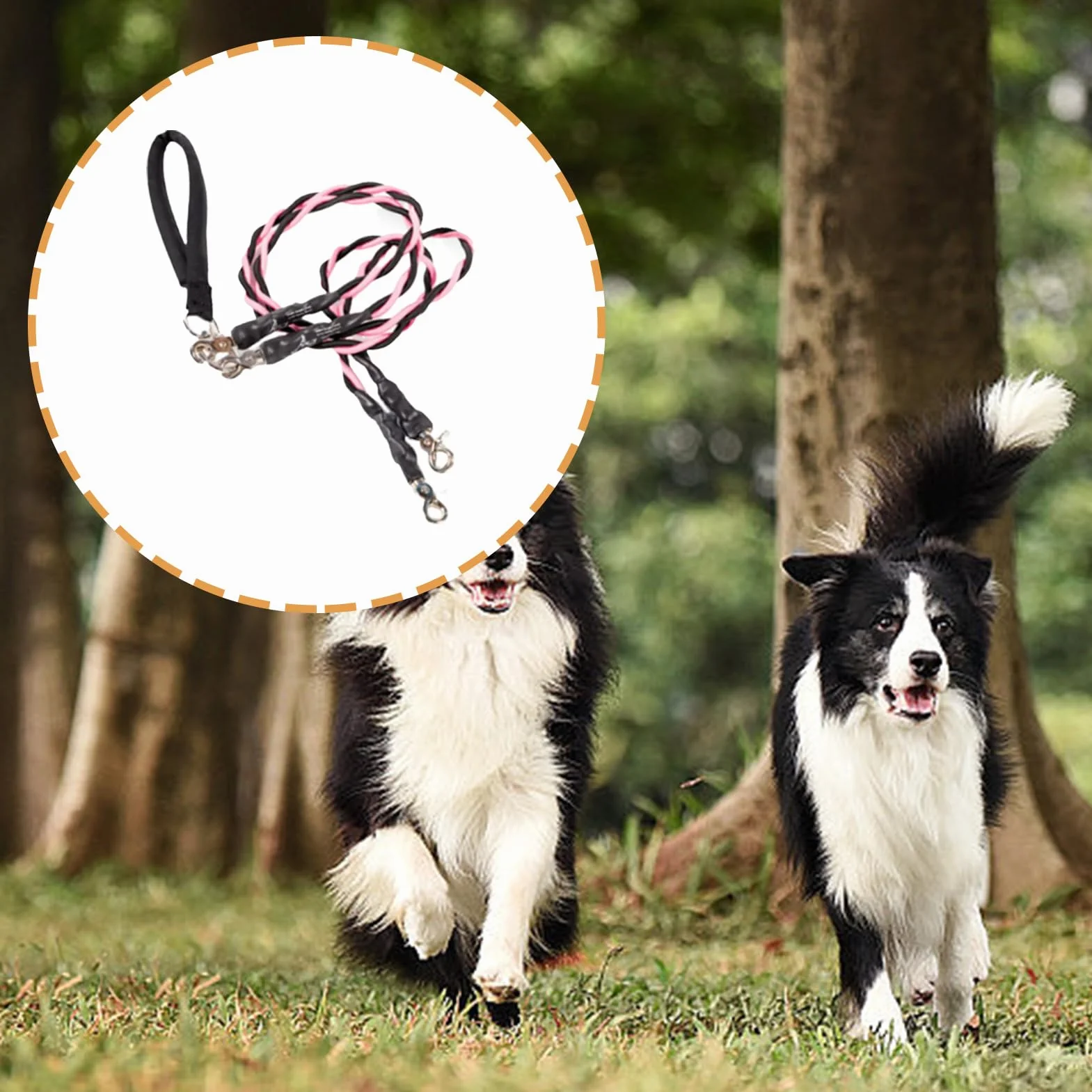 Corde per Cani - Guinzaglio Doppio per Passeggiate con Animali Domestici | Accessori per Animali Domestici Resistente Durevole Comodo per Spiaggia Addestramento Sicurezza Migliorata
