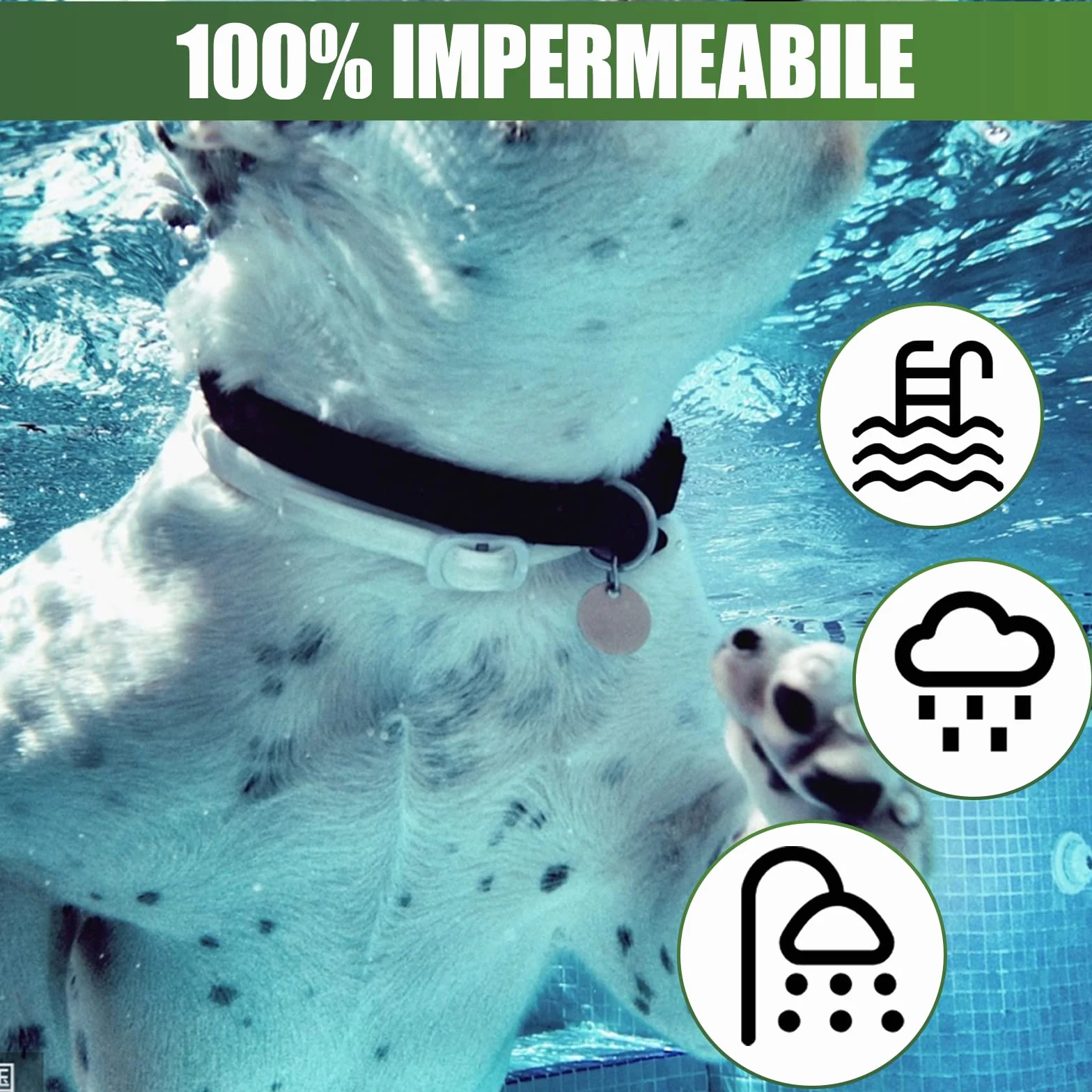 Collare Antipulci e Zecche Regolabile Impermeabile 63cm per Cani 8 Mesi Protezione