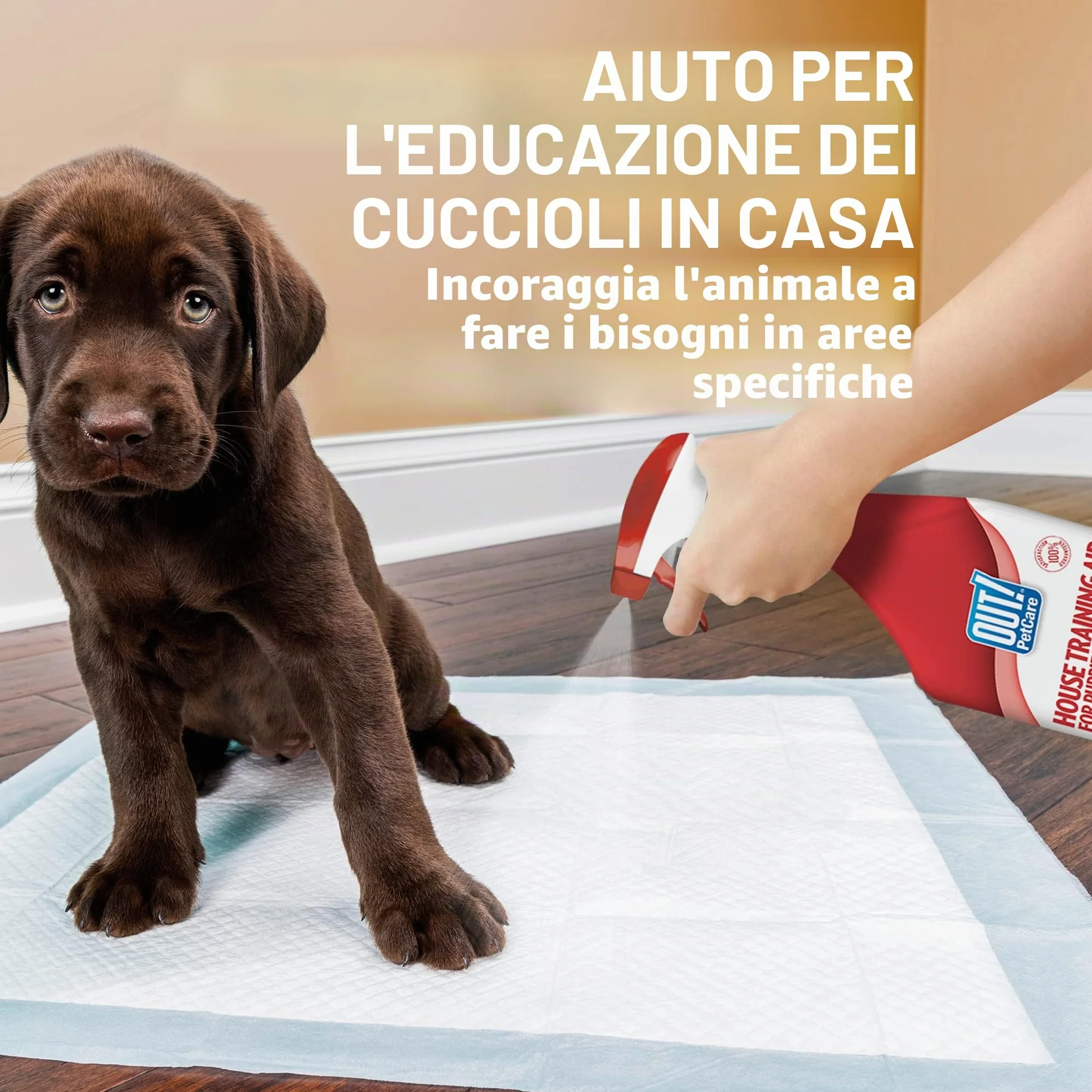 OUT! spray per l'addestramento di cani e cuccioli indoor e outdoor Aiuto alla formazione domestica - 500ml
