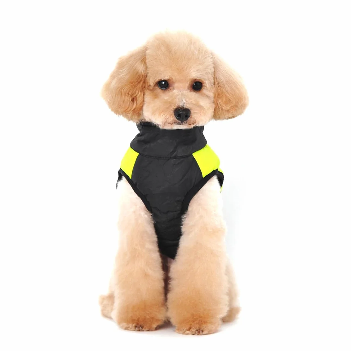Animale Domestico Cane Cappotto Imbottito Giacca