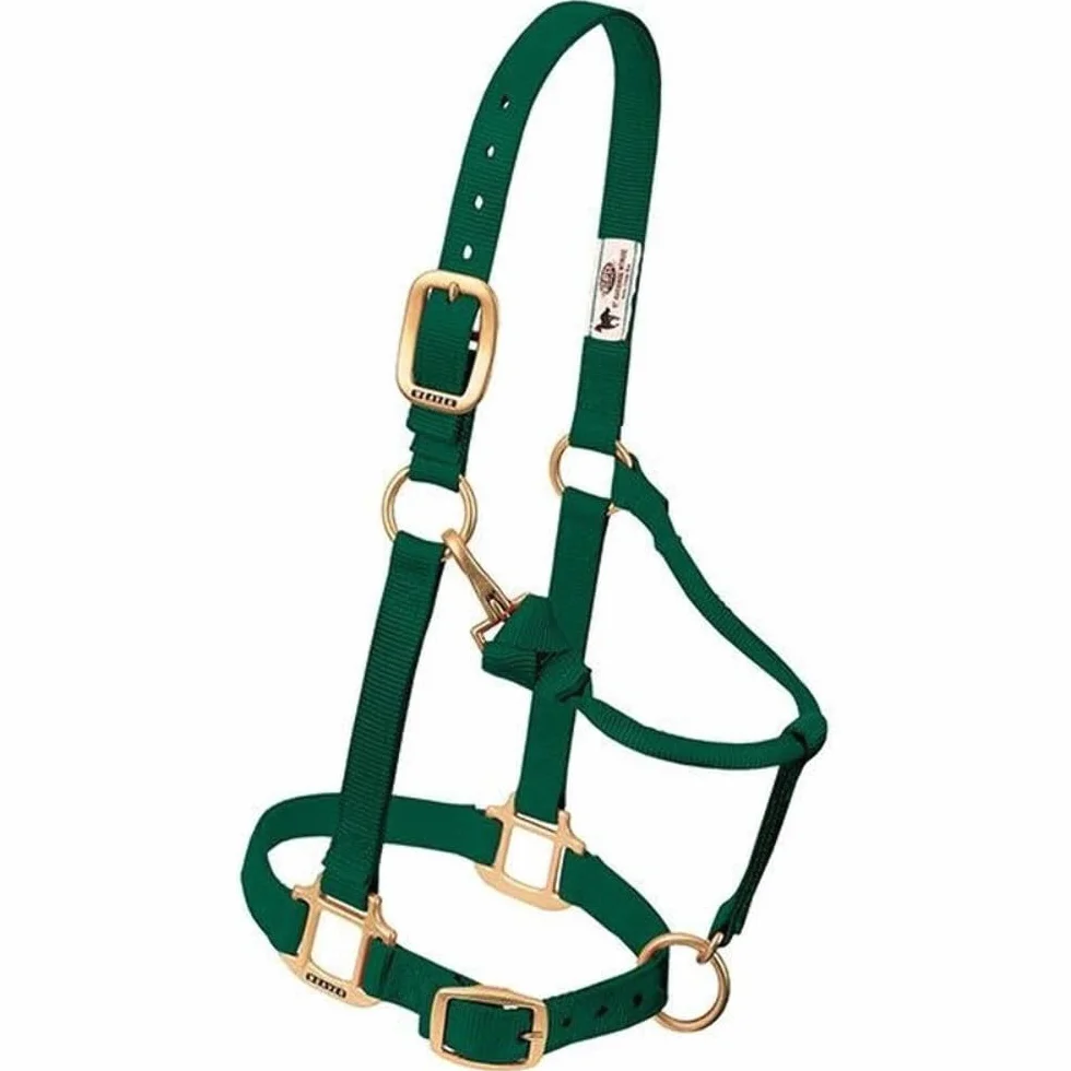 Weaver Leather Cavezza Regolabile in Nylon per Cavalli