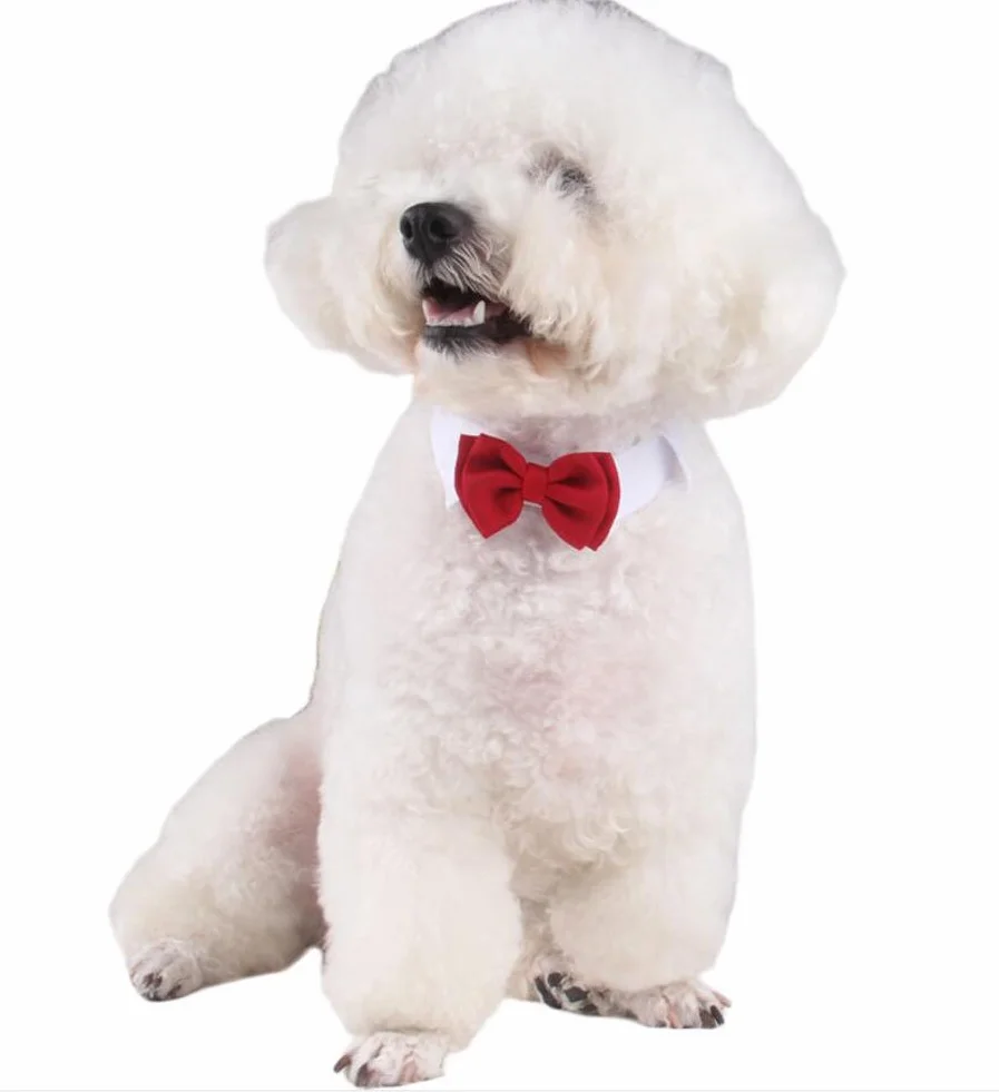 Piccolo Cane Gatto Cotone Collare Regolabile Cravatta a Farfalla Animale Domestico Bowknot 2 Pezzi