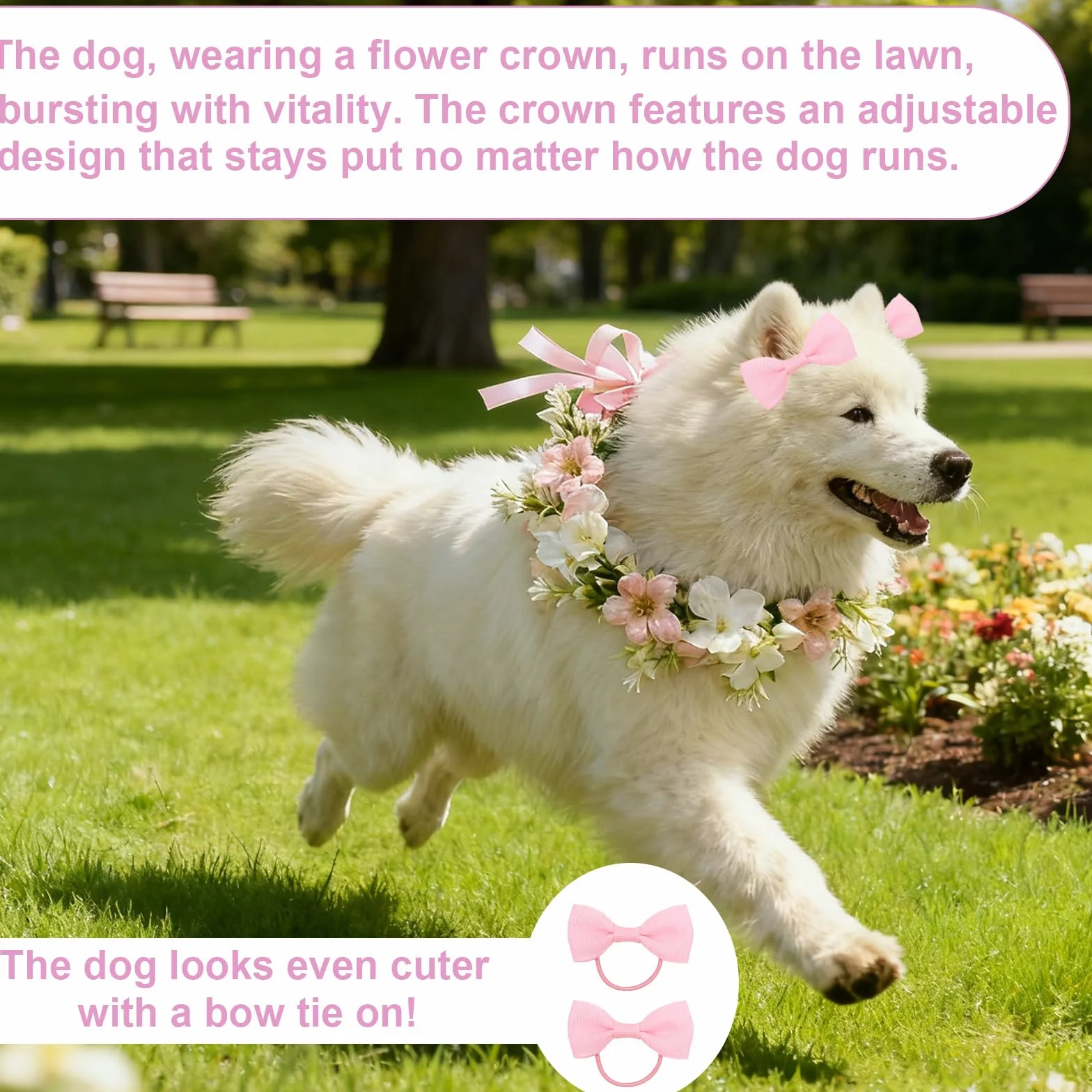 Papillon per Cane, Fiore Elegante con Fiori e Nastro, Adatto a Tutte Le Taglie di Cane, Regolabile, Perfetto per Matrimoni e Occasioni Speciali