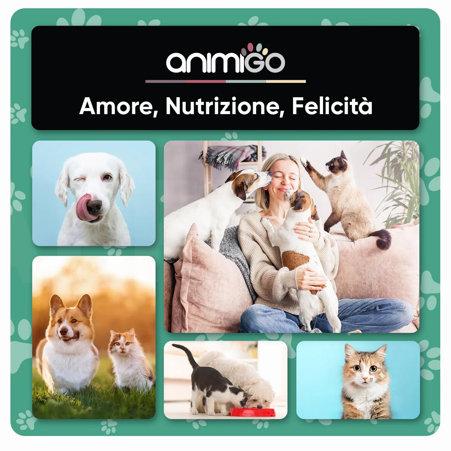 Spray Repellente per Gatti e Cani 250ml, Sapore Amaro, Dissuasore per Gatti e Cani, Spray Anti Graffi Gatto e Cane con Ingredienti Naturali, Disabituante Gatti, Spray Repellente Per Cani Senza Alcool