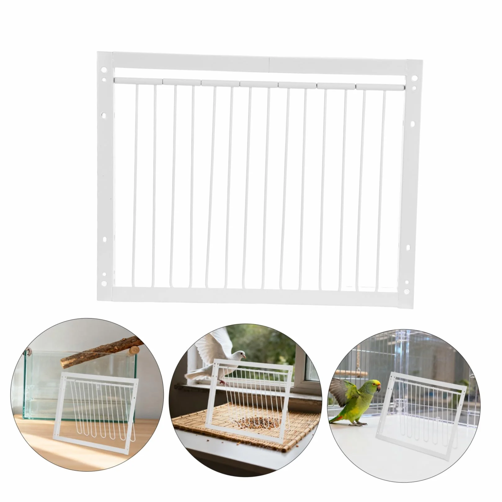 Porta Flessibile per Piccioni in Ferro Bianco Design Spesso, per Appassionati di Uccelli e Habitat Avicoli