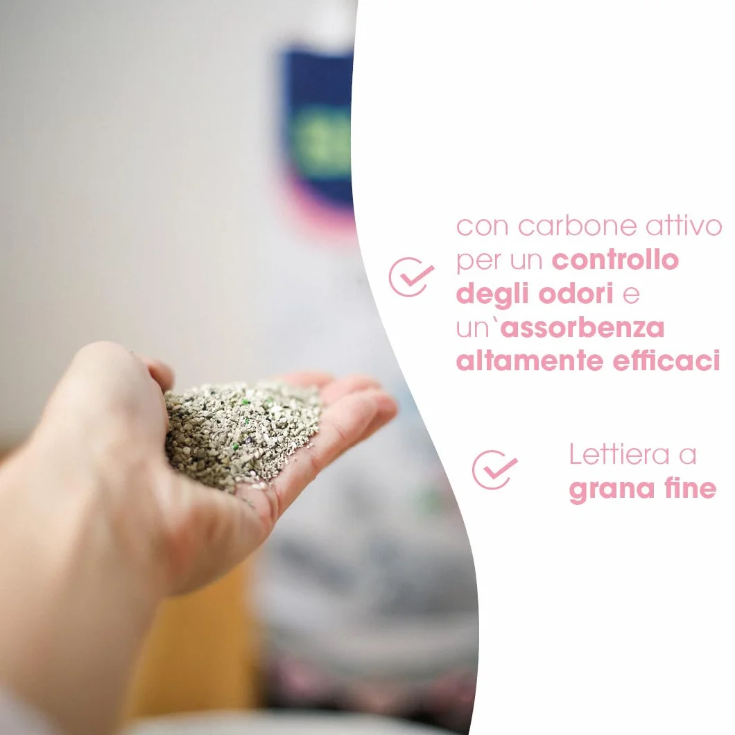 Biokat's Diamond Care Fresh Lettiera per gatti a grana fine con carbone attivo e aloe vera, 1 x 10 L