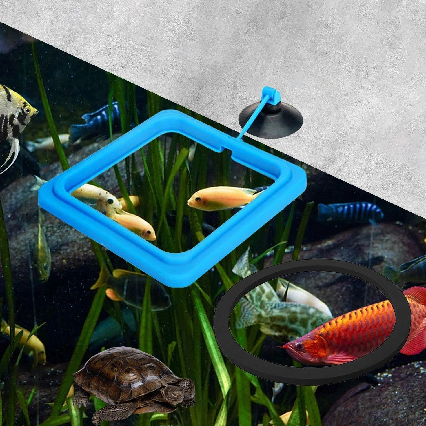 2 Anelli Per L'Alimentazione Del Cibo Per Pesci, 5 Anelli Per Piante Galleggianti, Anelli Per L'Alimentazione Dell'Acquario, Mangiatoia Per Acquario, Accessori Per Acquari, Mangiatoia Per Pesci