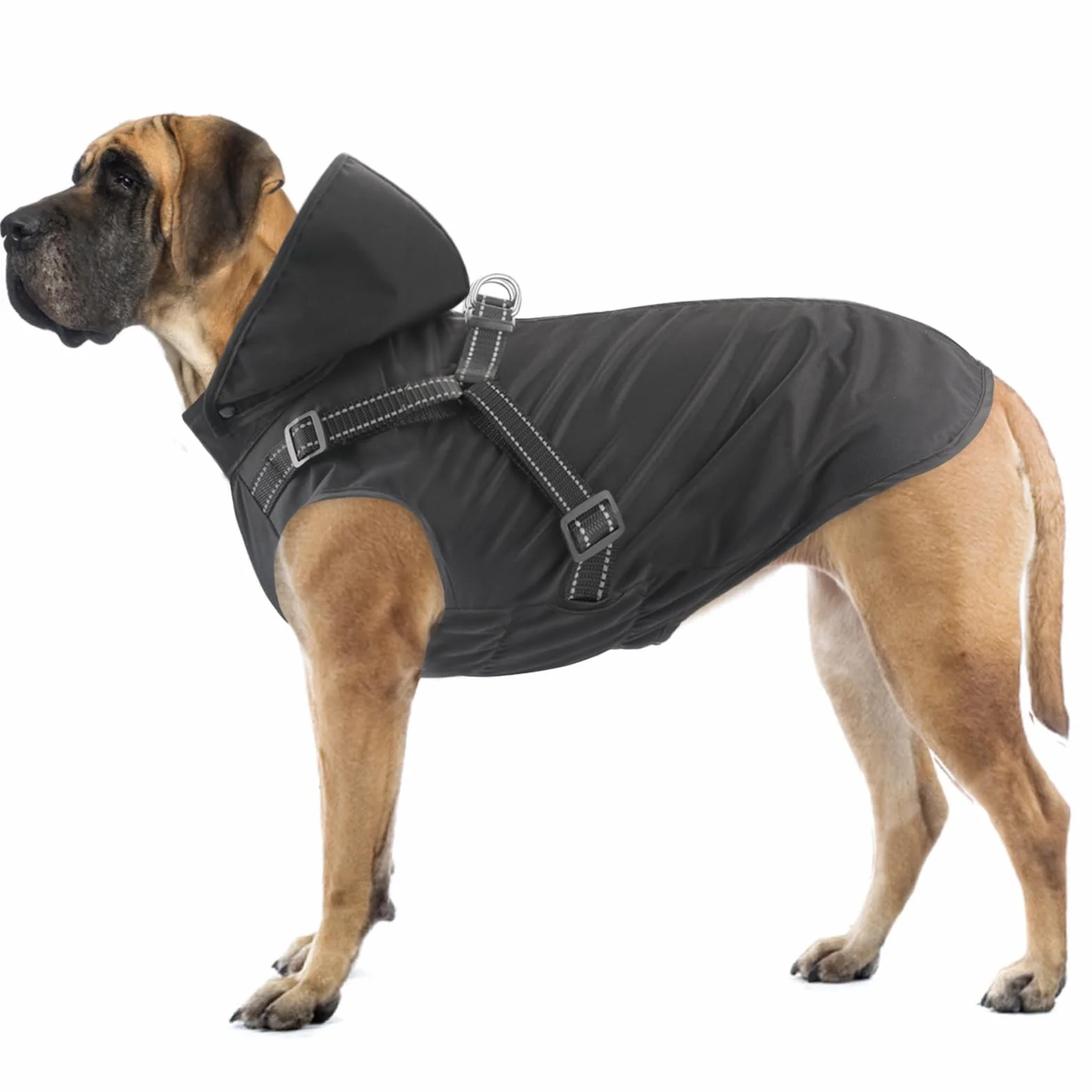 Impermeabile per cani con cappuccio taglia piccola media grande