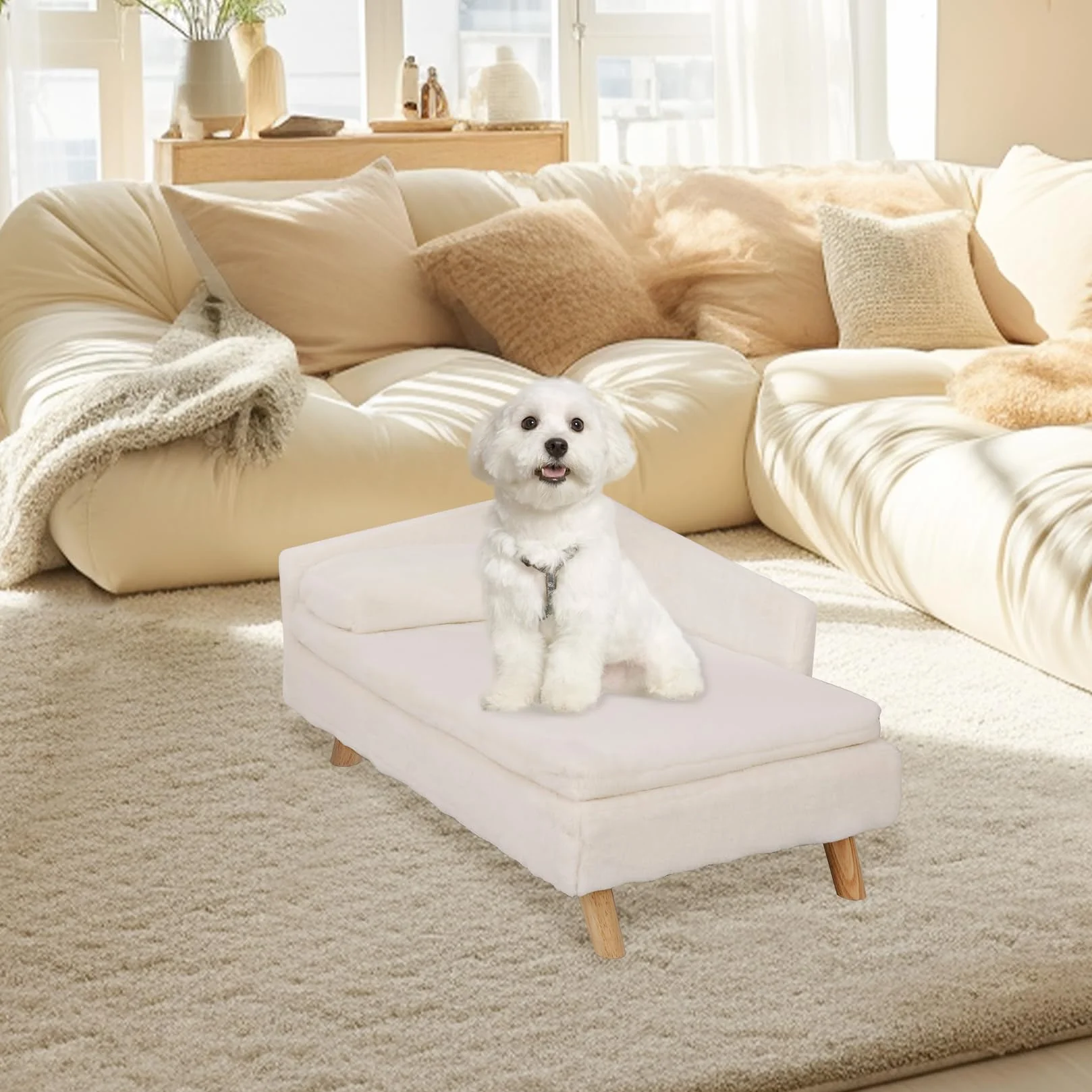 BingoPaw Divanetto per Cani e Gatti: Divano Letto Rialzato per Gatto Cani Inferiore a 25 kg Cuccia per Gatti da Interno con Cuscino Morbito Grande Cucce per Gatti da Interno, 80,5x48x23,5cm
