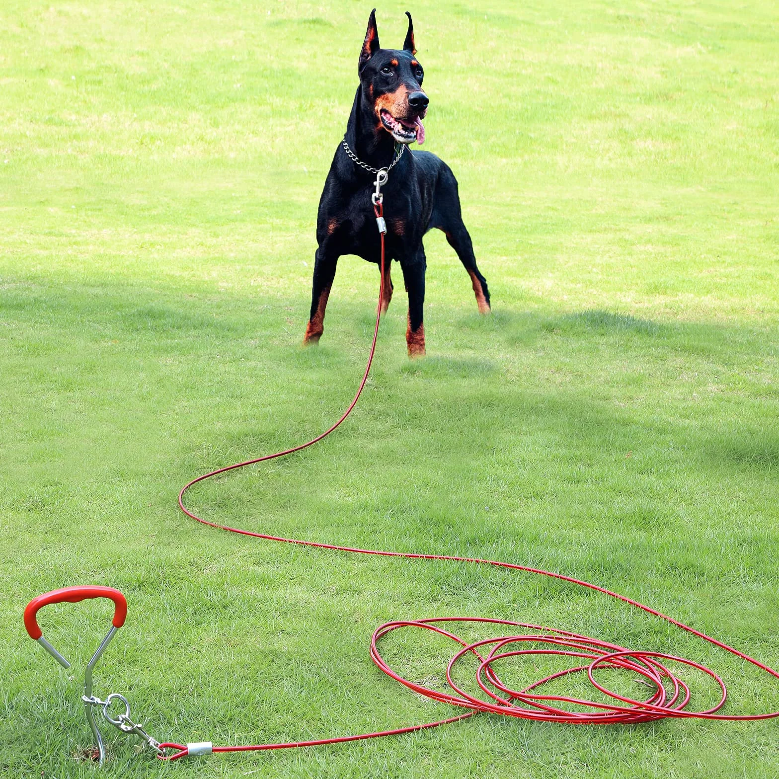 EFUTURETIME Picchetto a Spirale per Guinzaglio del Cane in Acciaio Inossidabile 9m, può Essere Ruotato di 360° Senza Incepparsi, Fascetta per Cani per Cortili, Campeggi, Parchi