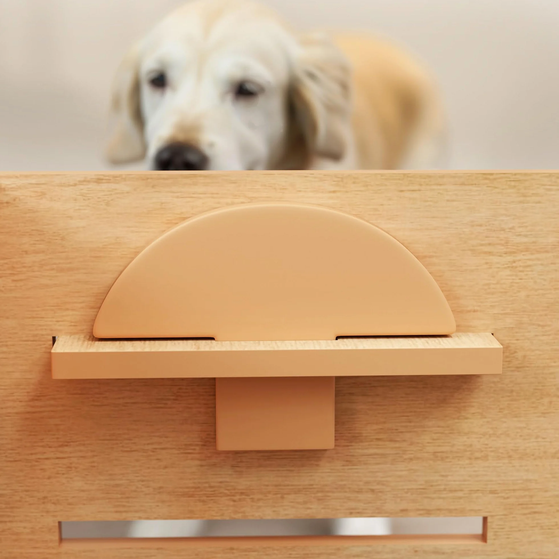 PawHut Ciotola per Cani rialzata di 3 Altezze Regolabili, Ciotola per Cani con 2 Ciotole in Acciaio Inox, Tappetino per Alimentazione Lento, Design Separato, per Cani Piccoli, Medi e Grandi, Rovere