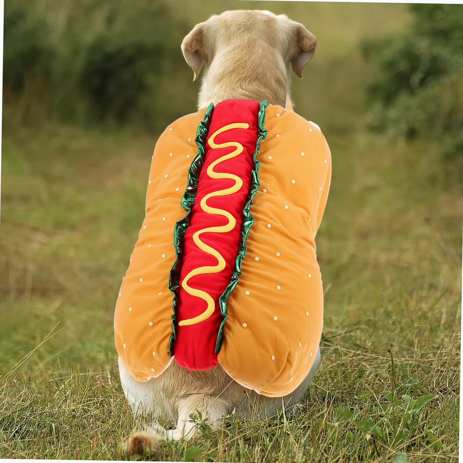 KOMBIUDA Costume Natalizio per Gatti e Cani, Abbigliamento Festivo per Feste di Natale e Halloween, Vestito Invernale in Poliestere per Animali Domestici