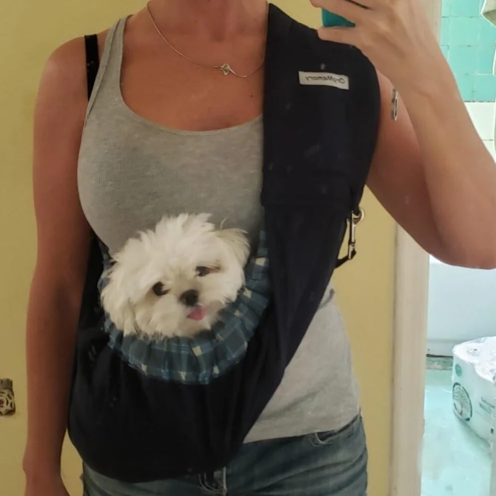 Borsa per Animali Domestici Pet Sling Carrier, Regolabile Zaino Tracolla, Per Animali Di Piccola(Blu Plaid)