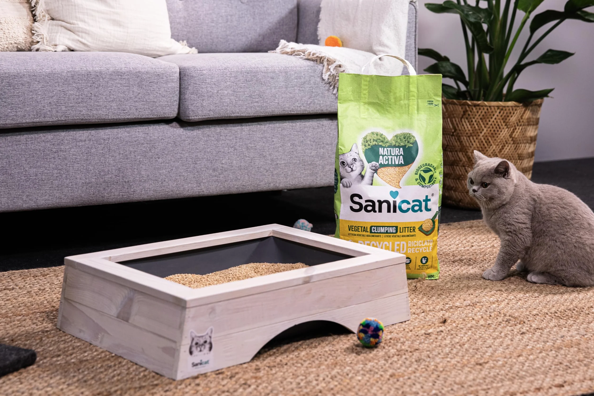 Sanicat Lettiera per gatti in tutolo di mais riciclato Assorbimento superiore controllo odori biodegradabile 6 L