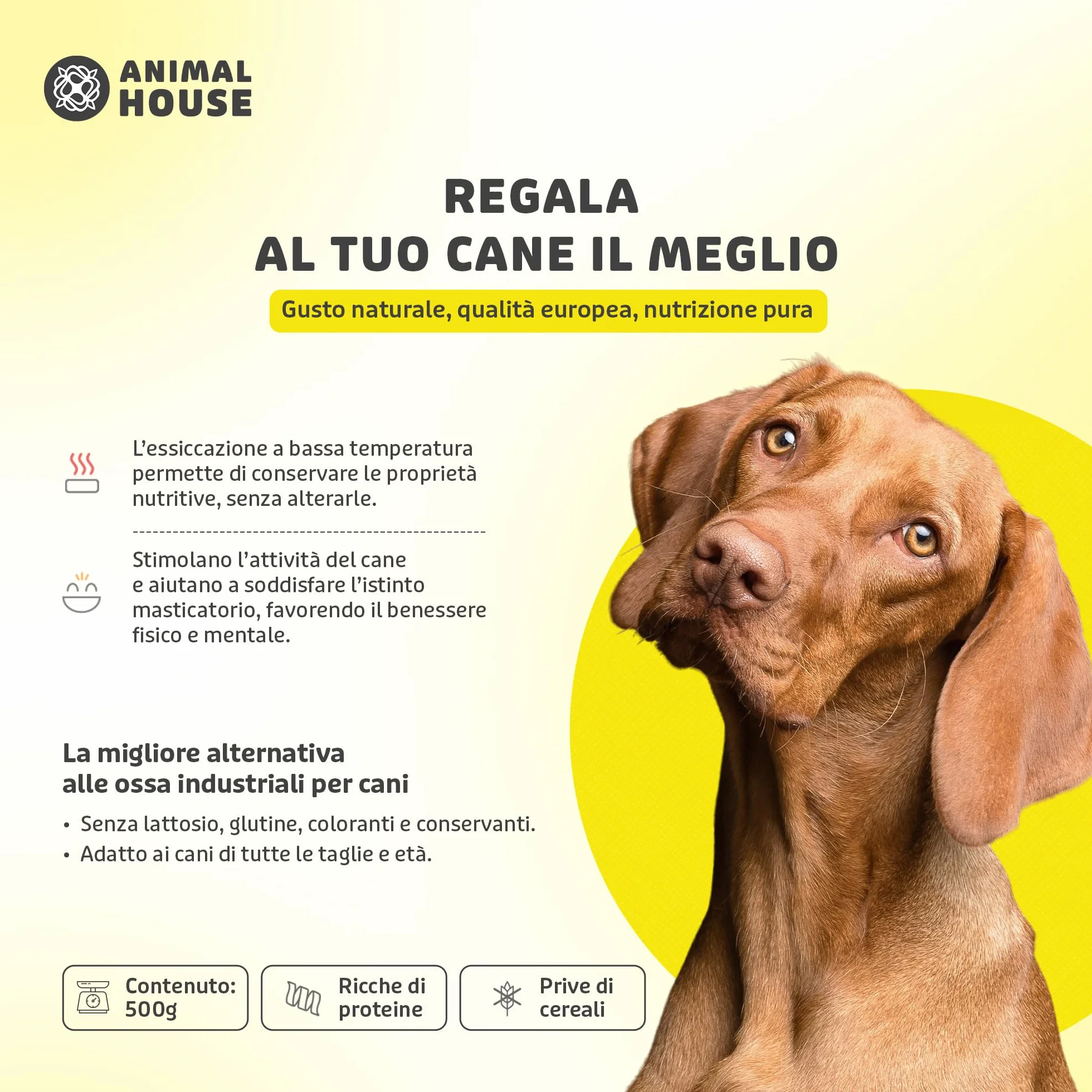 Animal House - Snack Naturale per Cani BARF alle Orecchie Suine, Delizia Proteica Europea per il Benessere del Tuo Amico a Quattro Zampe (500 GR, ORECCHIE SUINE)