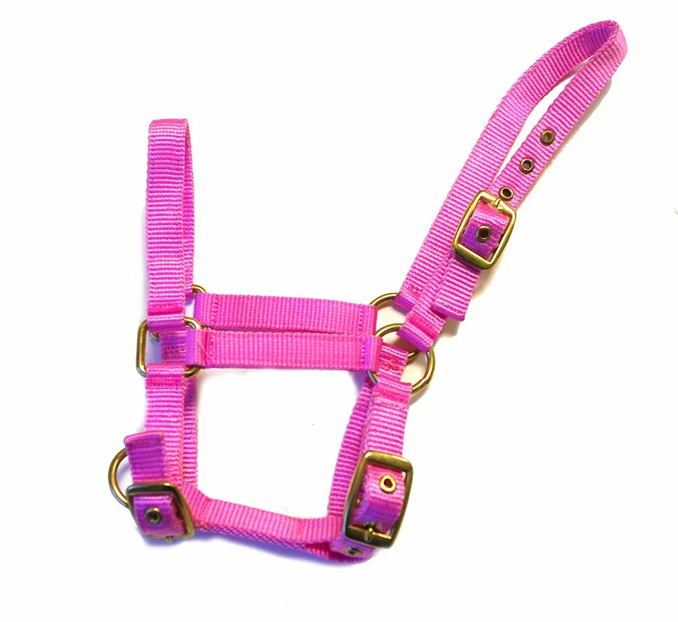 Rhinegold - Colletto in Nylon