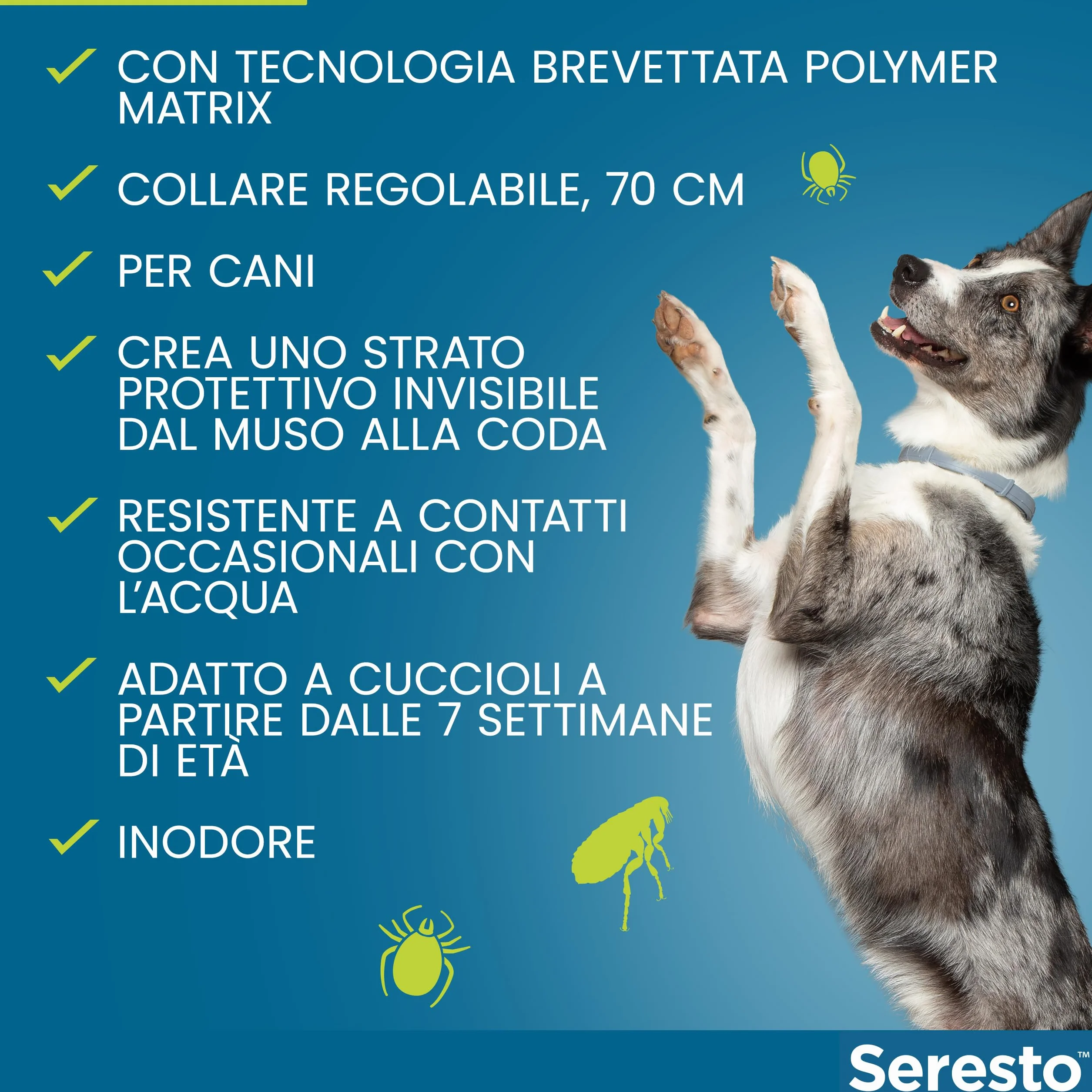 Seresto collare antiparassitario per cani oltre 8 kg elimina pulci zecche pidocchi protezione leishmaniosi 8 mesi