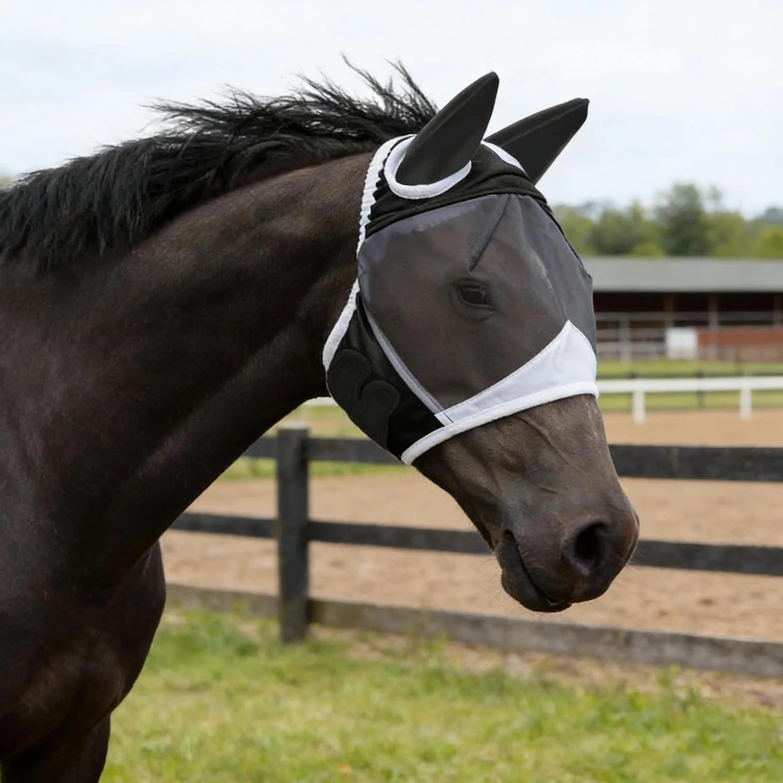 Maschera da mosche per cavallo, protezione UV, traspirante, per cavallo, sangue caldo, protezione contro mosche e raggi UV, per allenamento e uso quotidiano, maschera per mosche a lunga durata, taglia