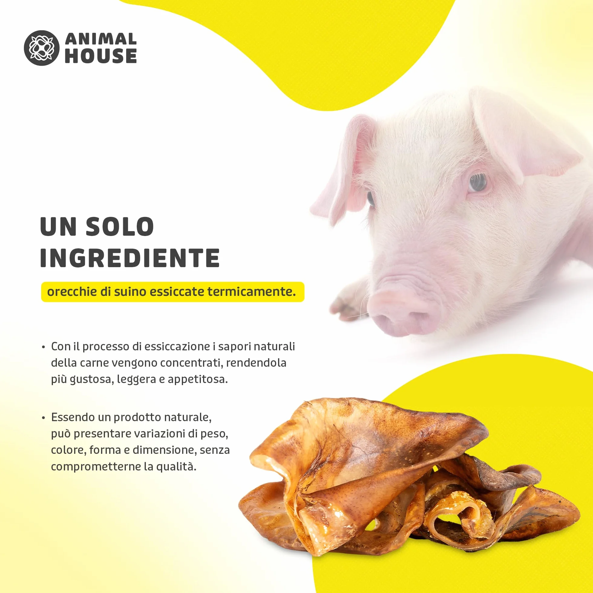 Animal House - Snack Naturale per Cani BARF alle Orecchie Suine, Delizia Proteica Europea per il Benessere del Tuo Amico a Quattro Zampe (500 GR, ORECCHIE SUINE)