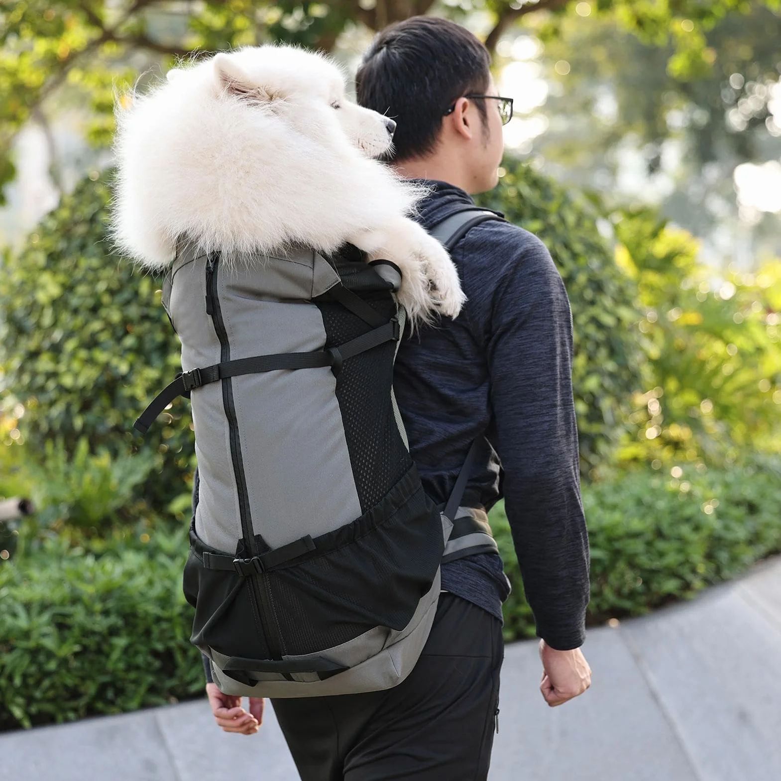 Zaino per animali domestici - zaino grande per cani, borse per cane passeggiate