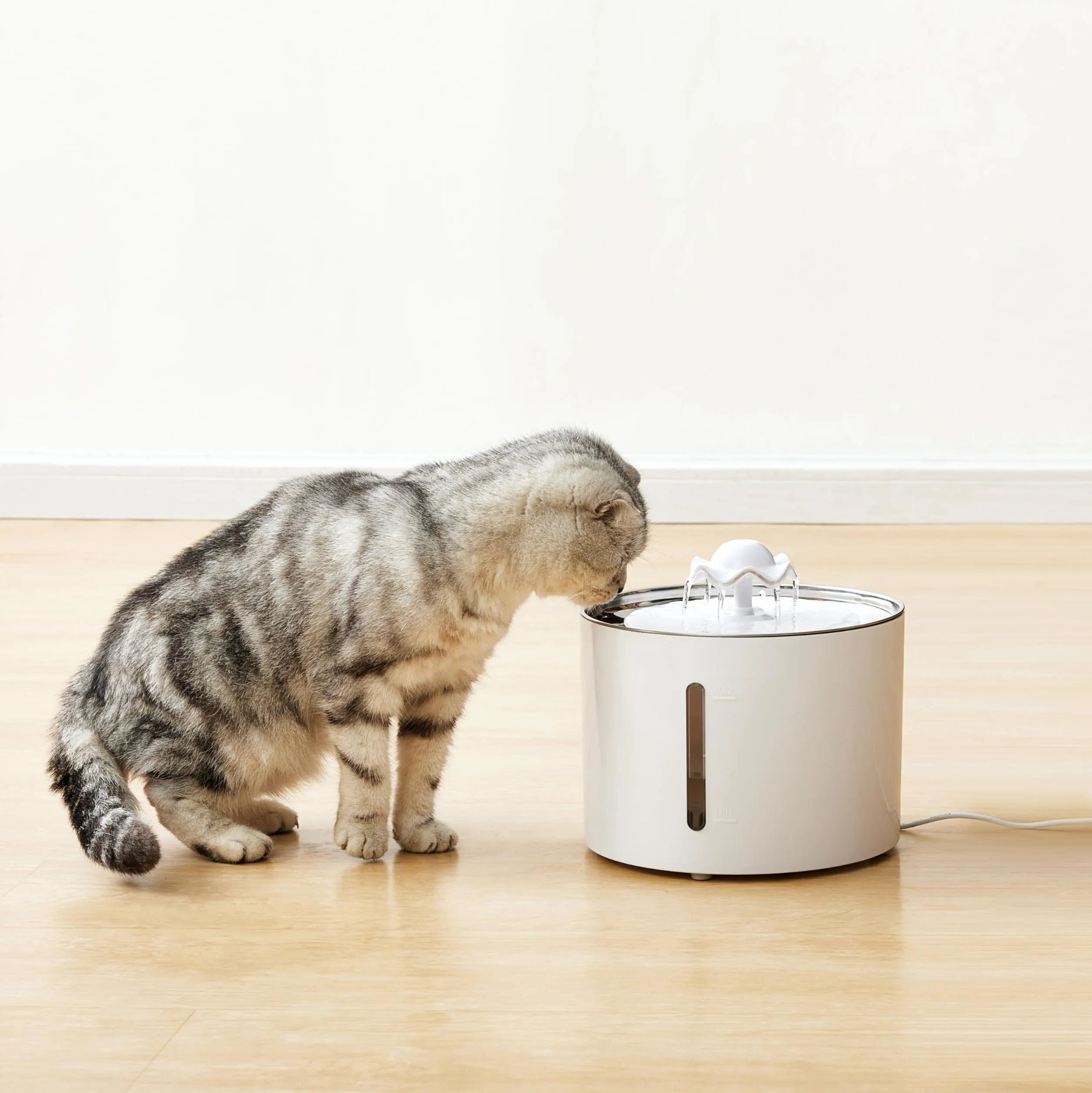 Amazon Basics Fontana d'acqua per gatti in acciaio inossidabile con 3 filtri, 3 L, Bianco